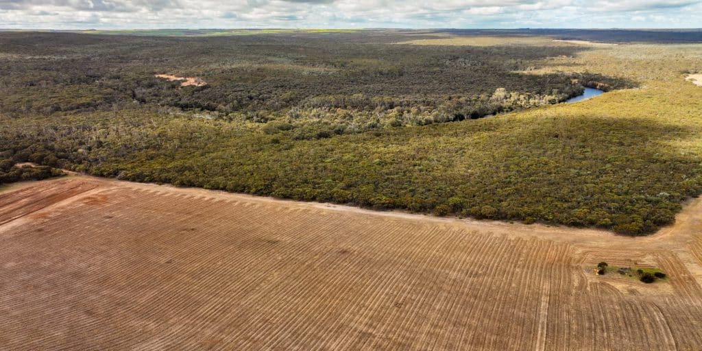 Bush Heritage rewilded landscape