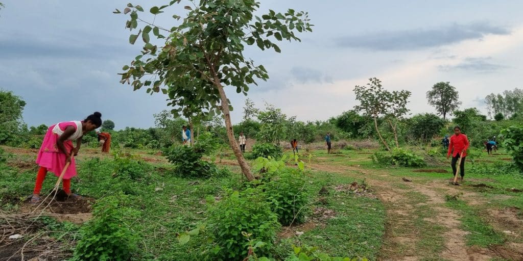 Corbett Foundation India