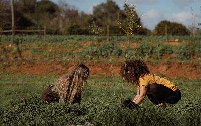 Reflorestar Portugal: Empowering communities to think like a forest