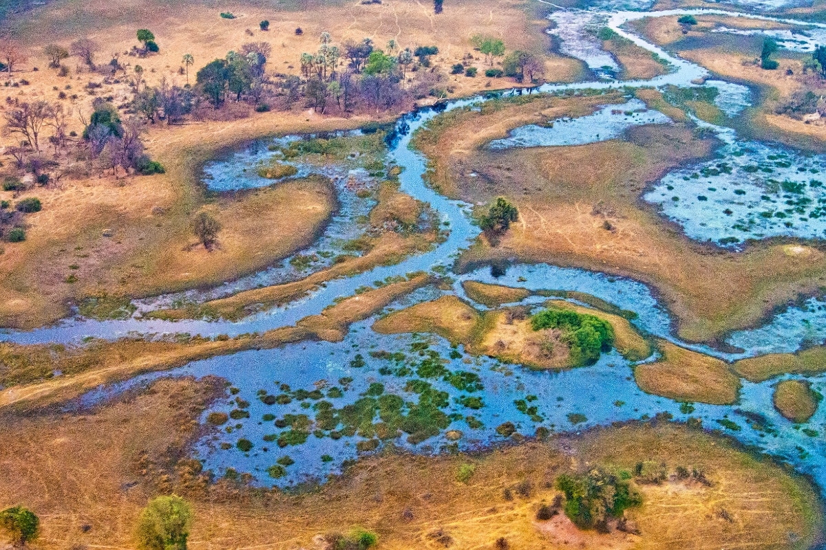 Okavango Delta by Al Carrera from Getty Images