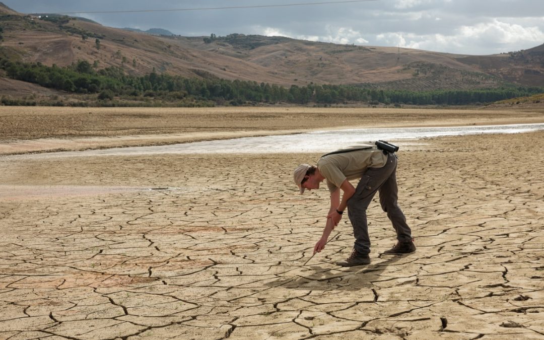 Man surveying dry, cracked river bed soil credit Collettivo Rewild Sicily
