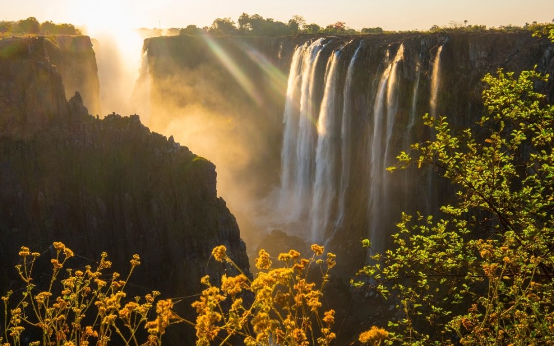 Wildlife-Centred Wetland Policy Takes Root at Ramsar COP15