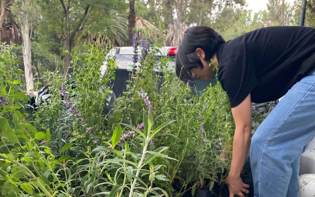 Woman holding sapling. Credits: Taashii