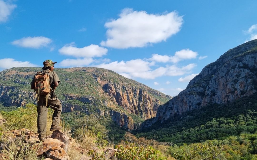 Endangered Wildlife Trust: Restoration and protection for shared resilience
