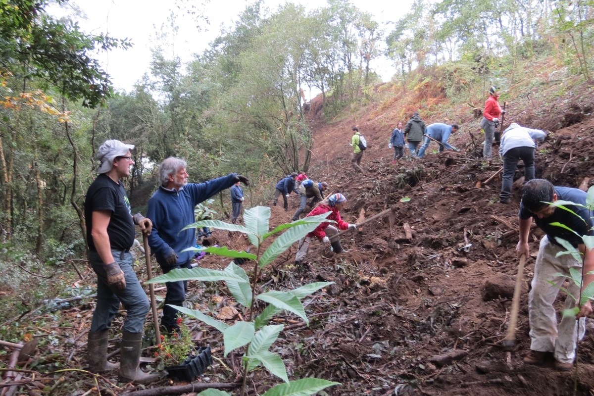 People from Fundación Montescola working in the Galician healthlands