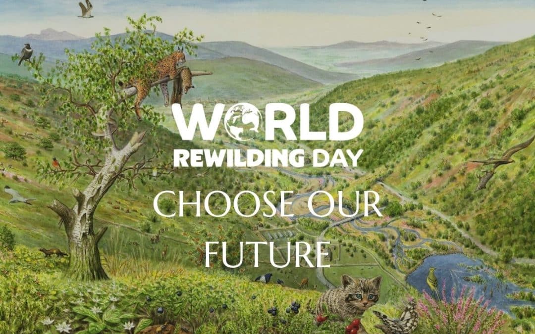 How we can Choose Our Future: a tidal wave of action on World Rewilding Day