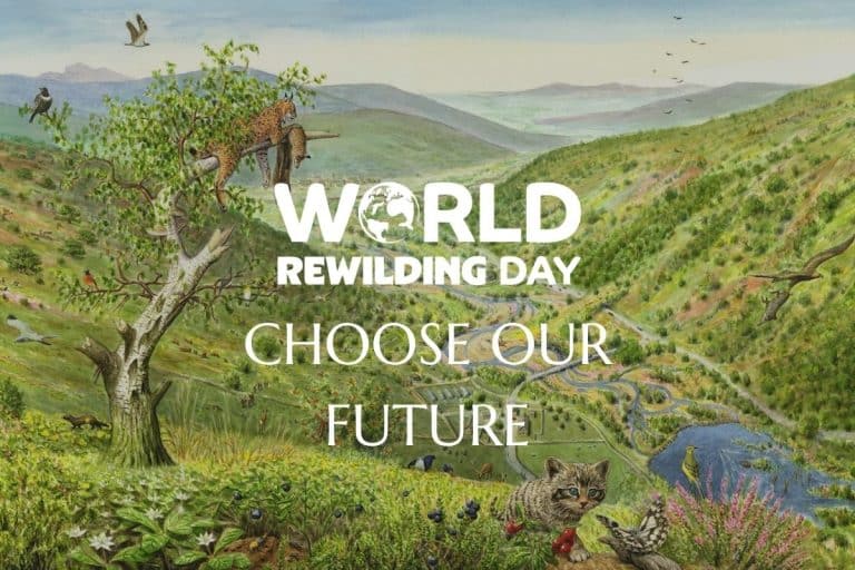 World Rewilding Day -Choose Our Future Credit: Rewilding Britain