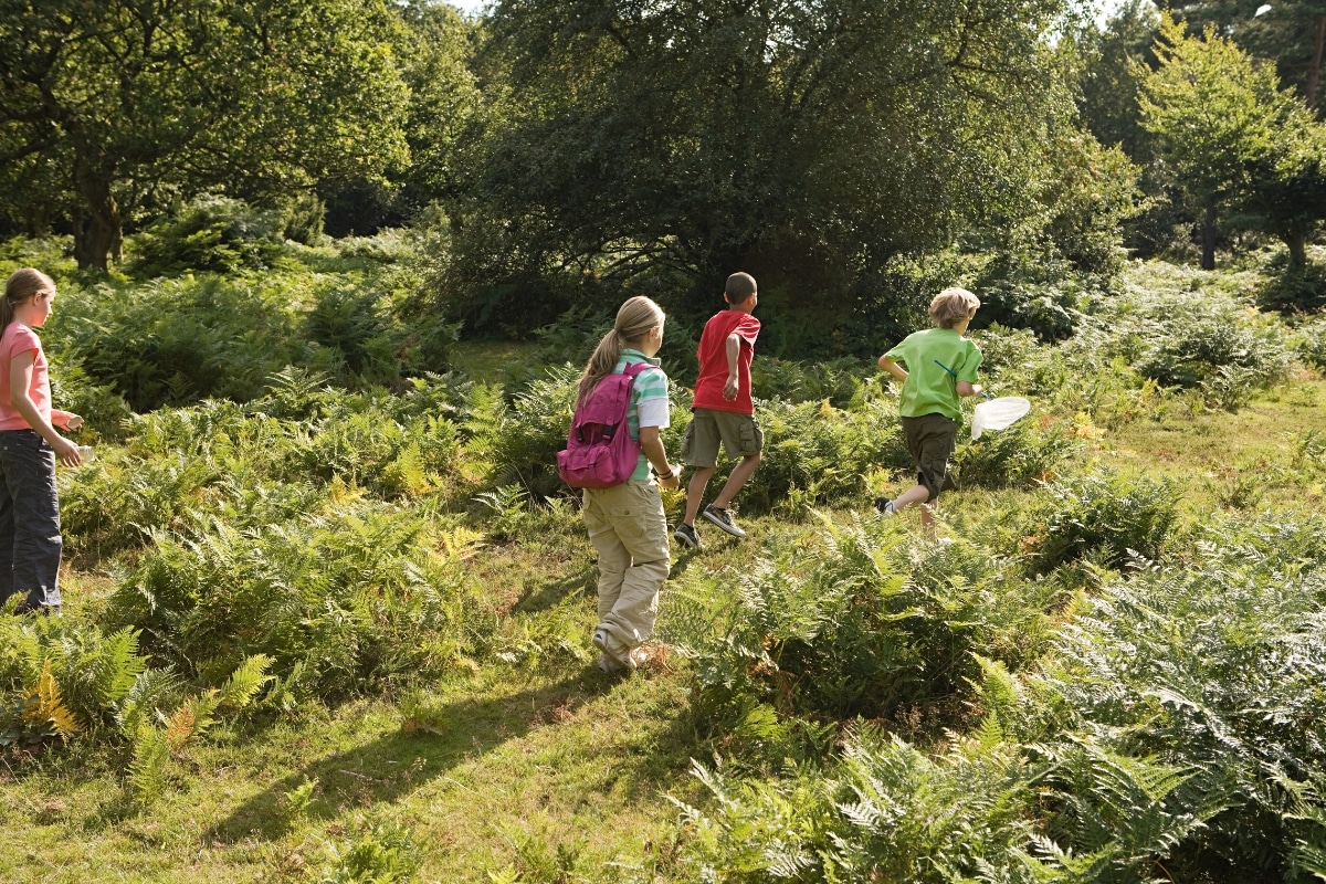 nature reserve Image Source from Photo Images