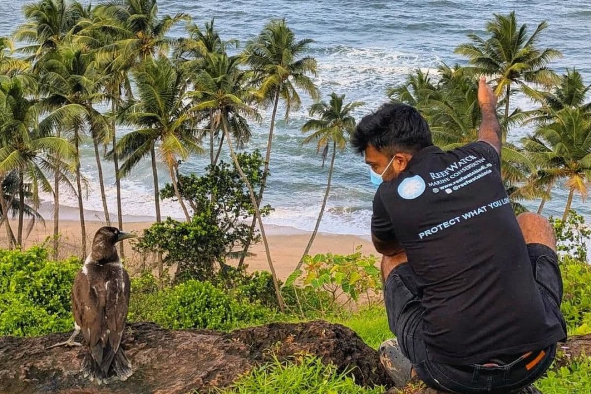 Credit: Arjun Trikannad 