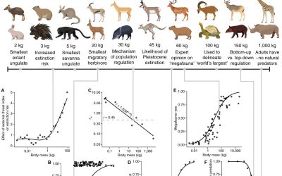 Impacts of large herbivores on terrestrial ecosystems