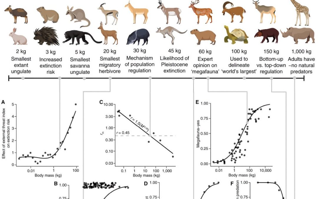 Impacts of large herbivores on terrestrial ecosystems | The Global ...