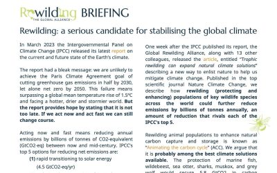 Rewilding, A Serious Candidate For Stabilising The Global Climate