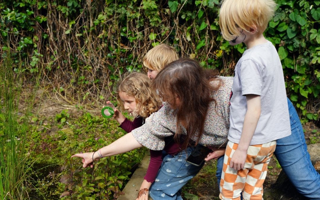 Wildlife watch credit Natural Neighbours