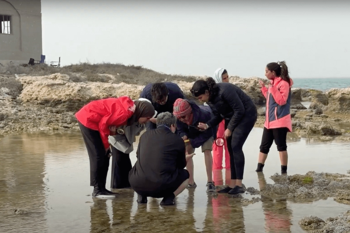 Researchers on a beach