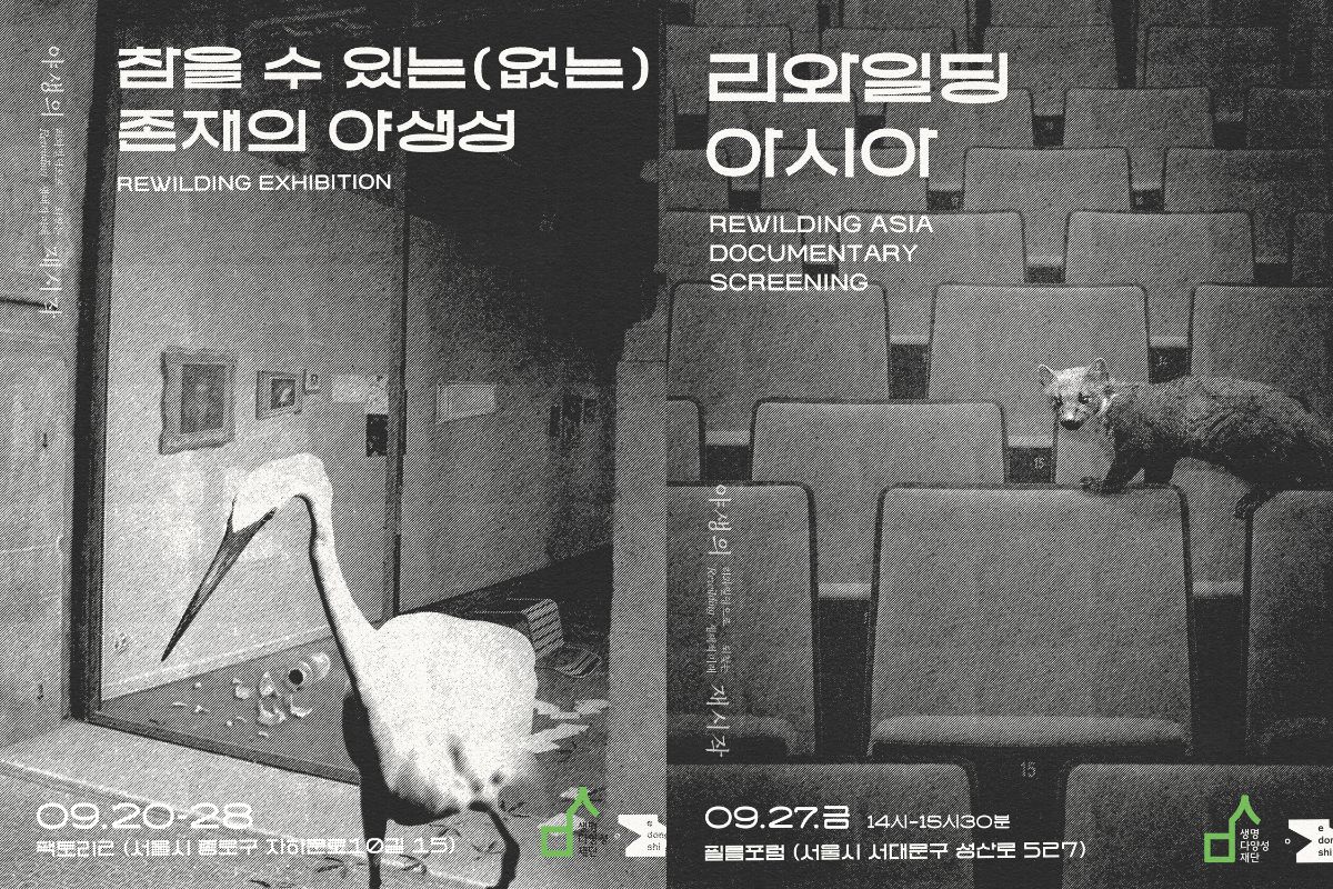 Rewilding Exhibition and Rewilding Documentary B&W Fliers. Credit: The Biodiversity Foundation