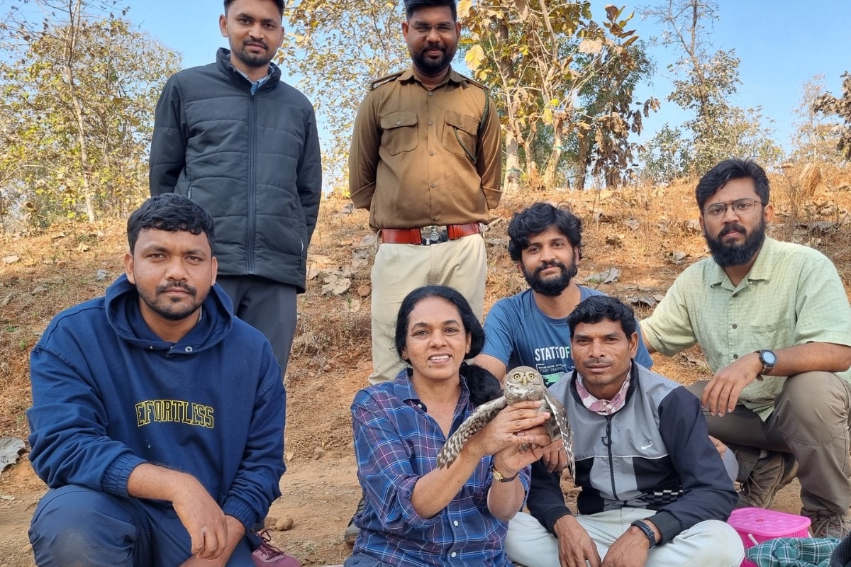 WRCS Director, Prachi Mehta, holding a Forest Owlet for installing a radio telemetry tag. Credit: WRCS<br />
