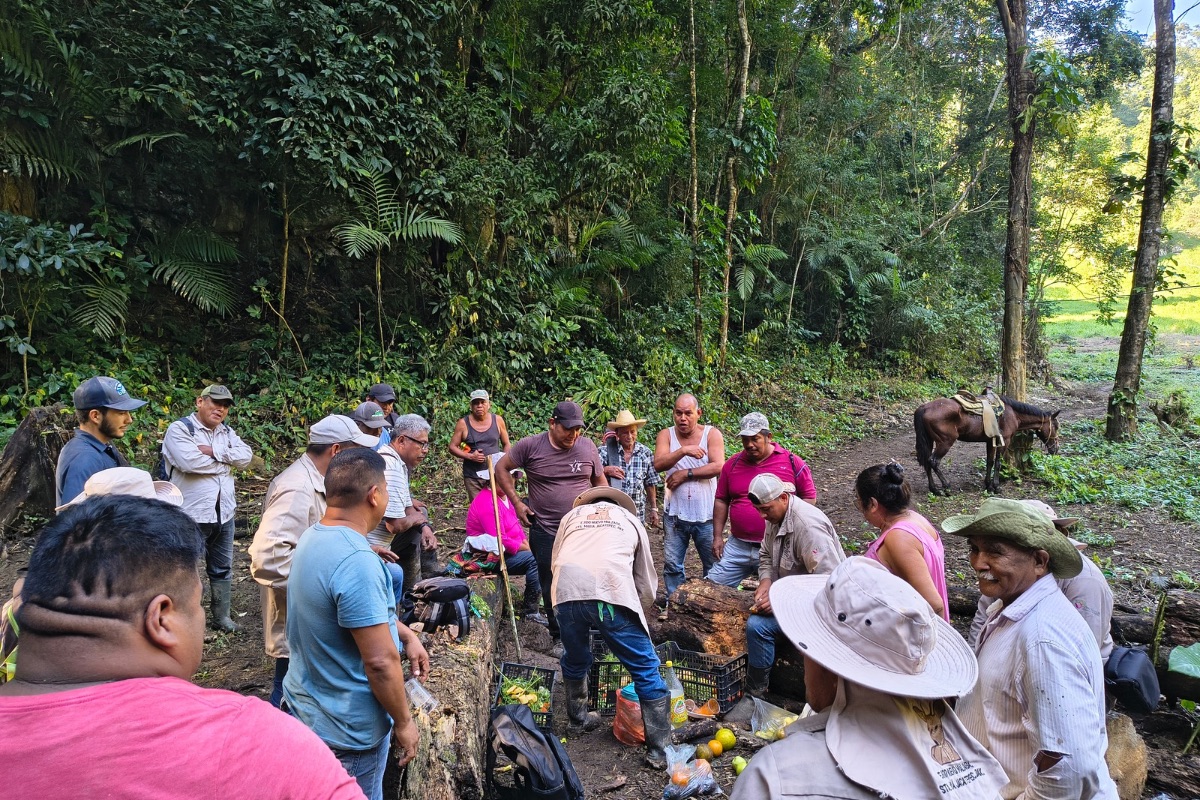 The community is celebrating the return of the Spider Monkeys to their communal lands, which they maintain with great effort and ecological and social awareness as advc (areas voluntarily dedicated to conservation). Photo credit: CMRP.