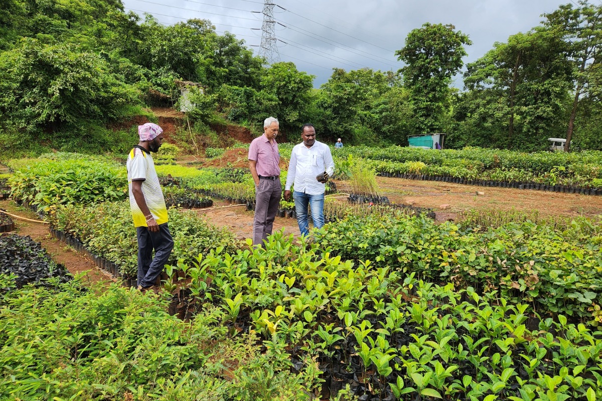 WRCS Director, Jayant Kulkarni, at a native plant nursery in Rasati village, Koynanagar. Credit: WRCS<br />
