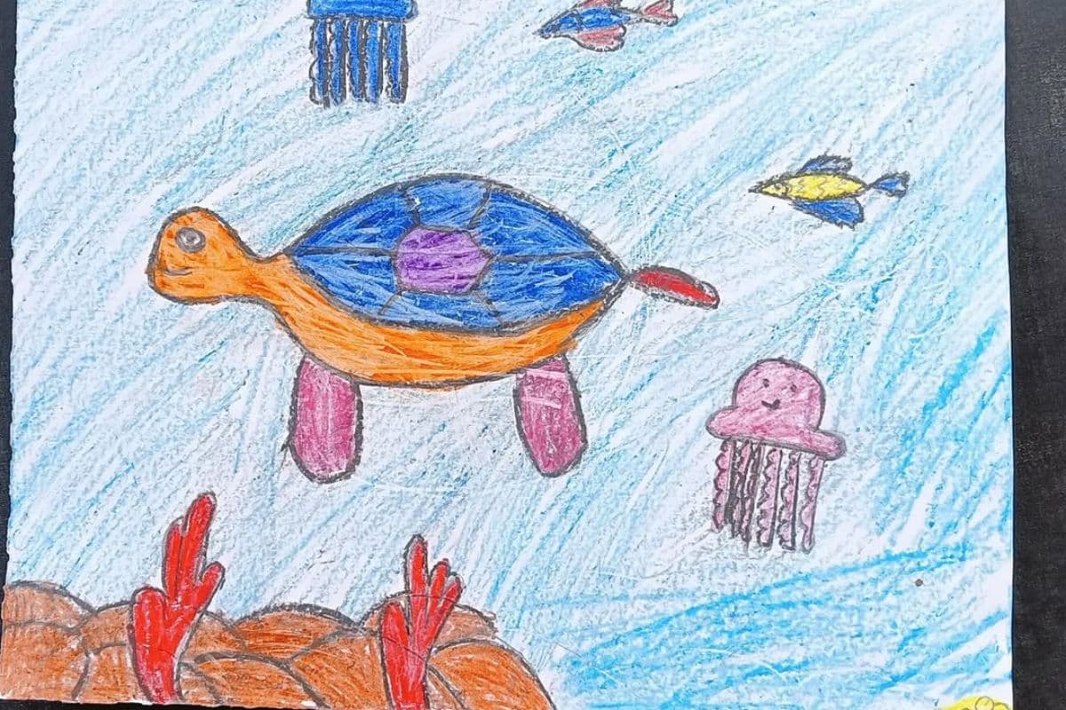 Classroom to coastlines. Credit: Reef Watch