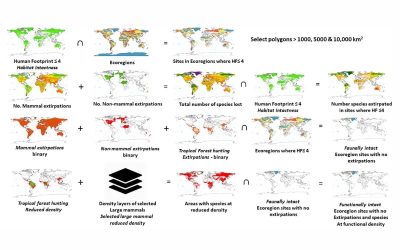 Where Might We Find Ecologically Intact Communities?