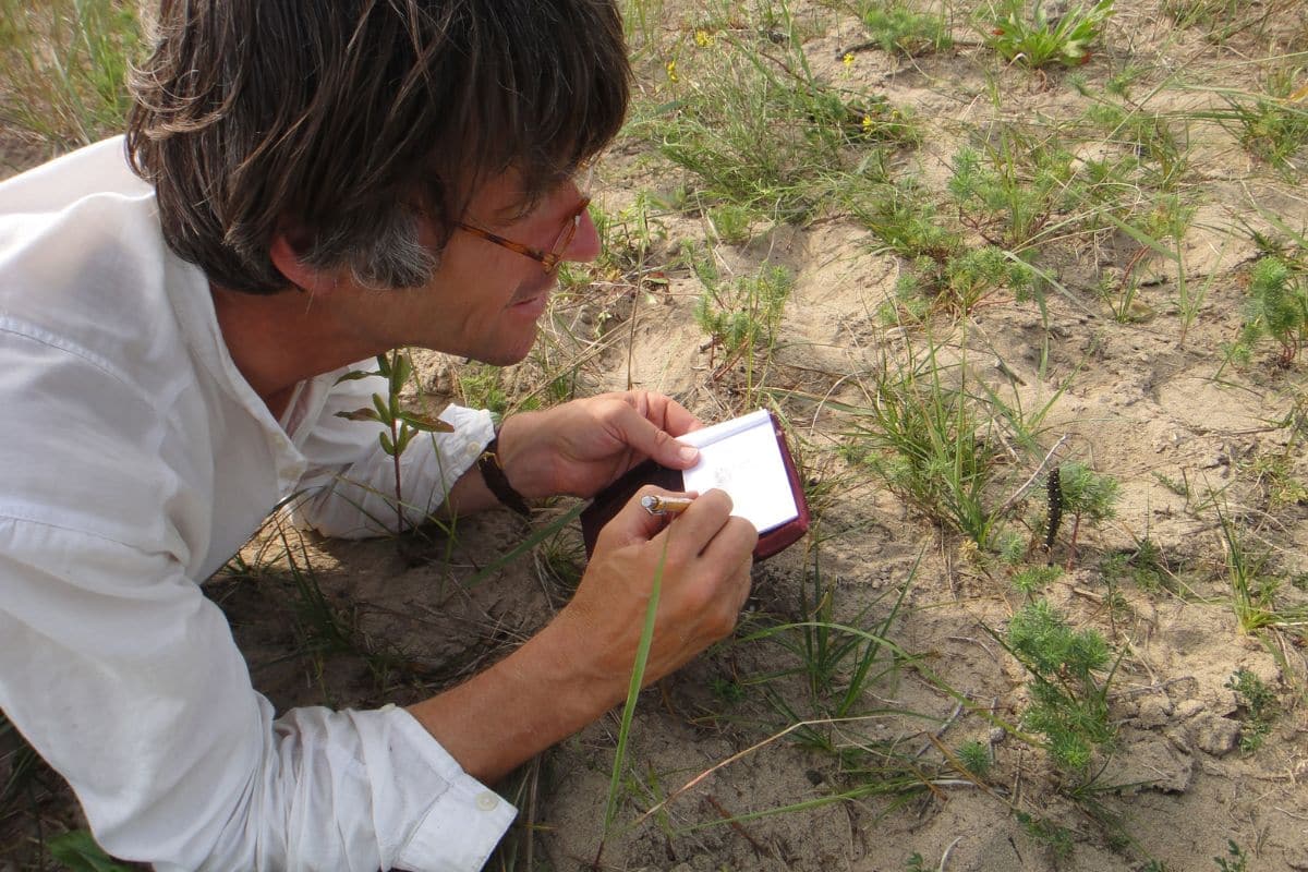 Jeroen Helmer in his element. Credits: ARK Nederland