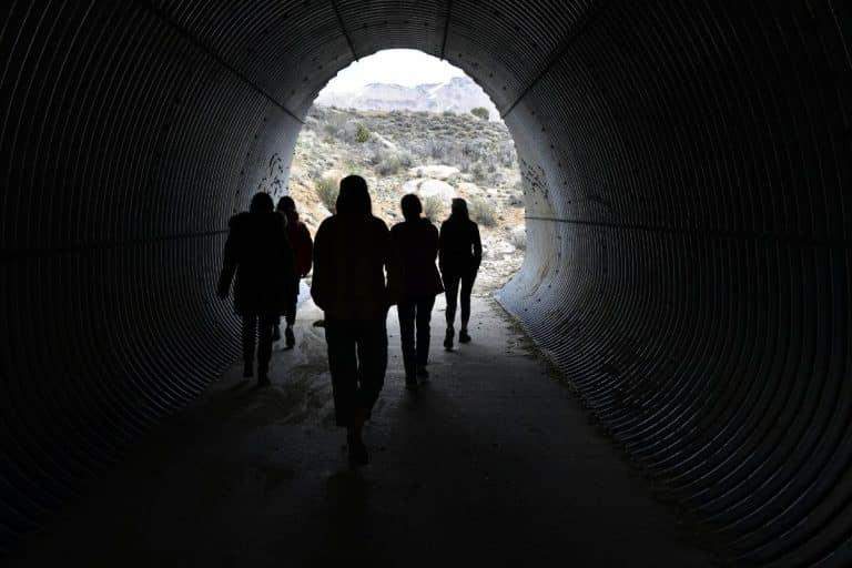 people walking in wildlife underpass