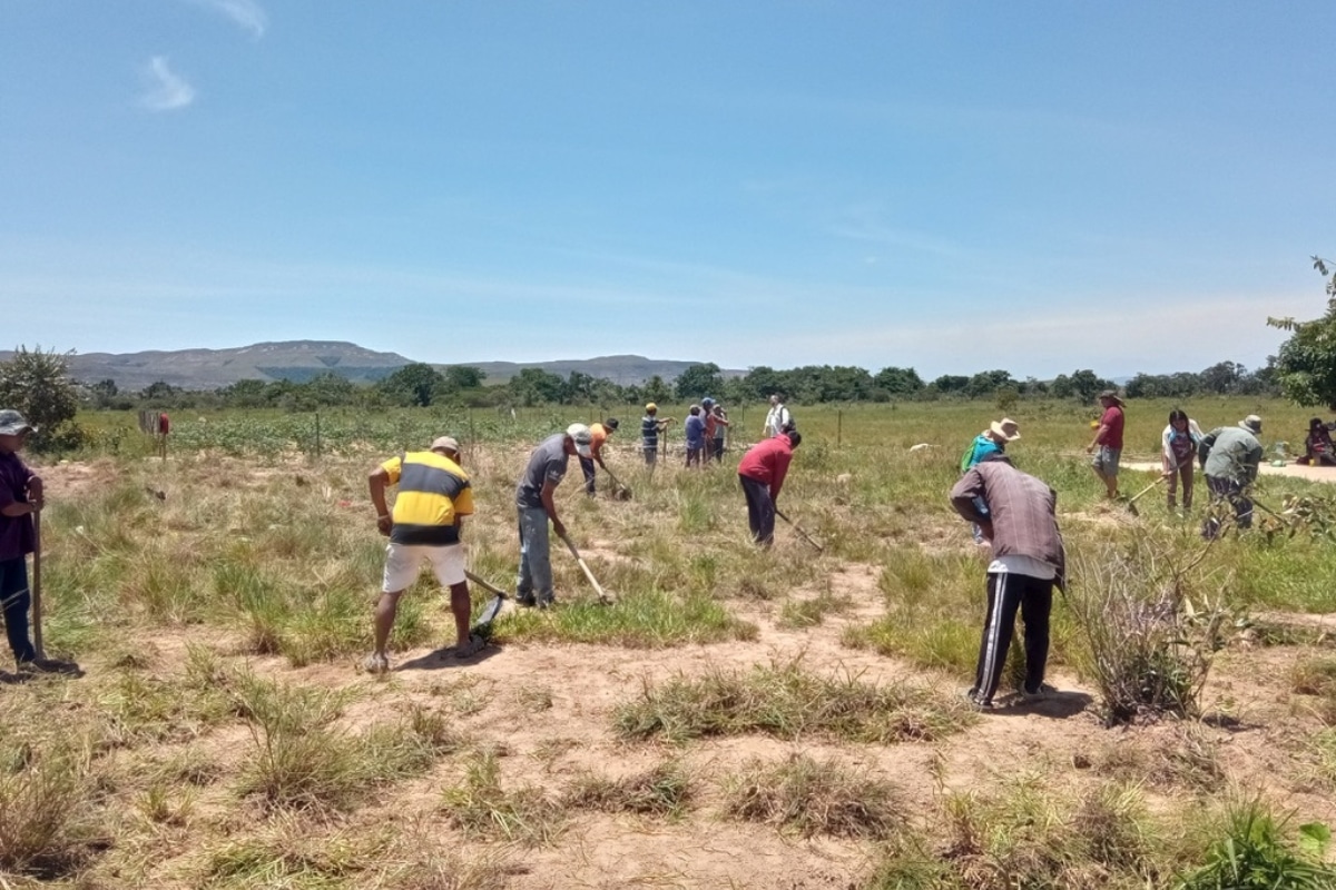 V5 Initiative: Rewilding the Venezuelan Amazonia