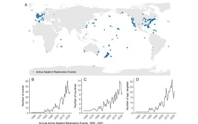 Tracking the global application of conservation translocation and social attraction to reverse seabird declines