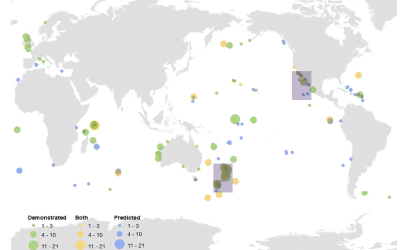 Invasive mammal eradication on islands results in substantial conservation gains