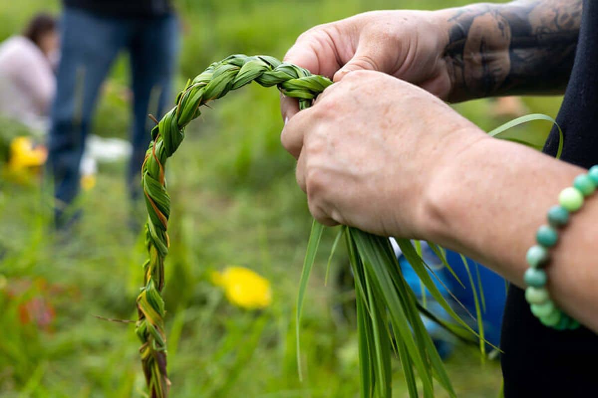 Braiding Sweetgrass
