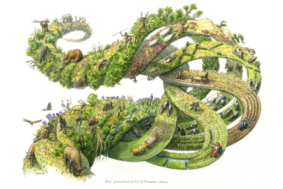 Past, present and future of European nature. Credits: Jeroen Helmer, ARK Nederland.