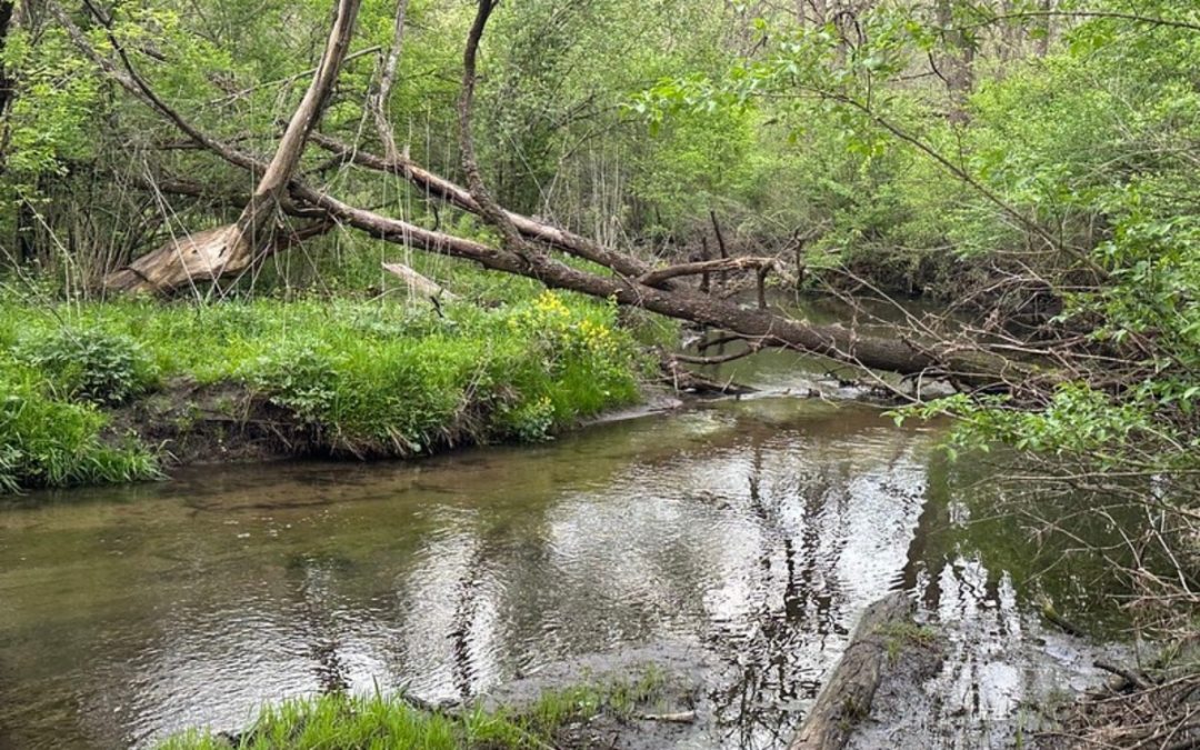 Local stream credit Severson Dells