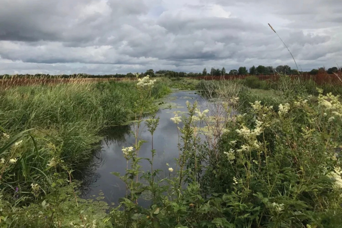 Restored river credit Somerset Wildlands