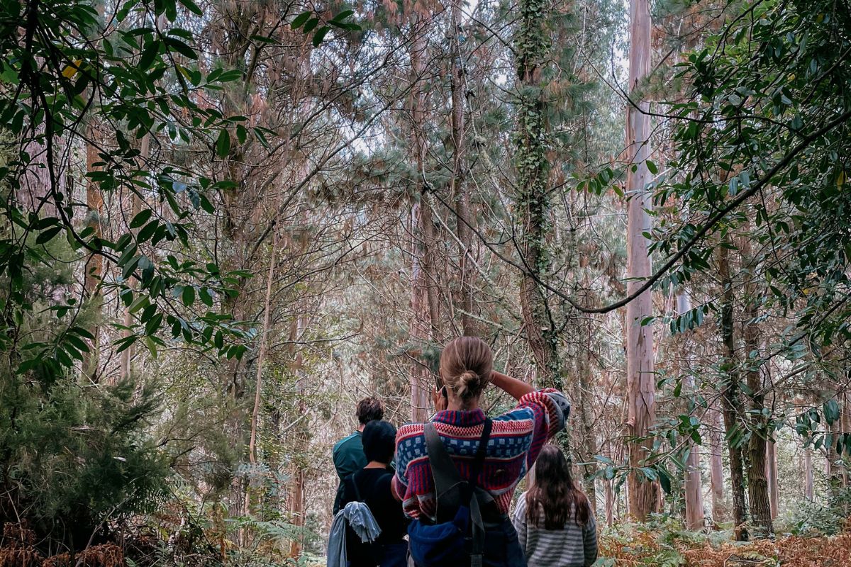People in the forest during Sylvester Week, Galicia, Spain. Photo credit: Sylvester