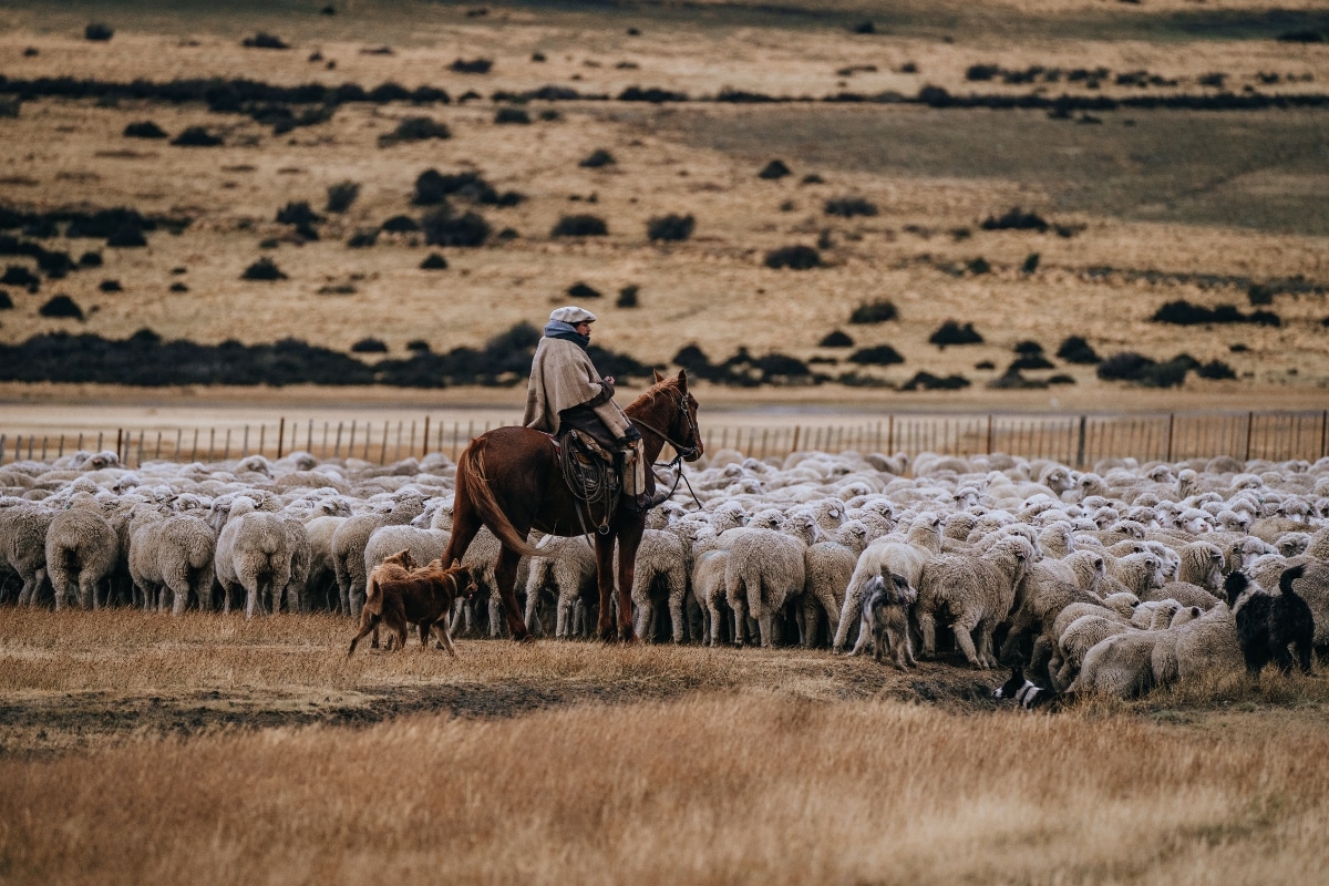 Patagonian rancher, credit Fundacion Cerro Guido Conservacion