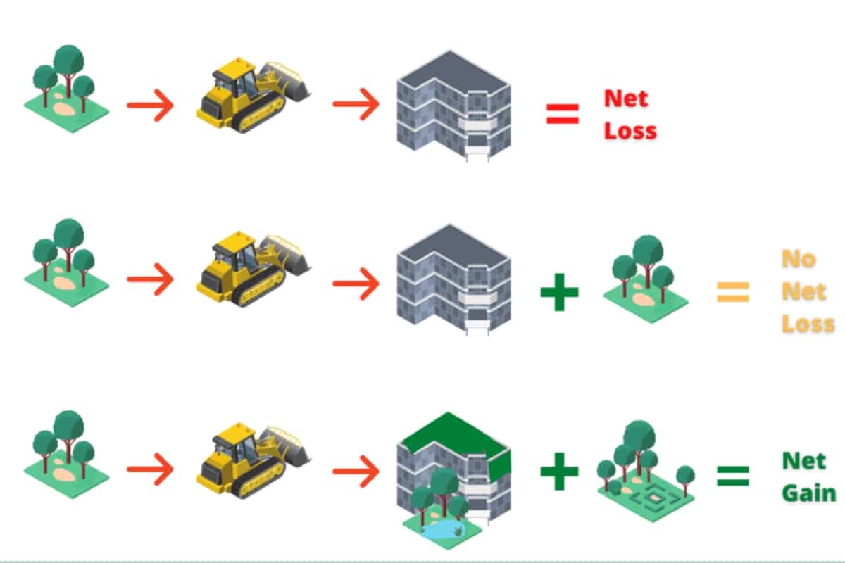 BNG swathi palanichamy