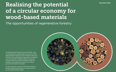 Realising the potential of a circular economy for wood-based materials