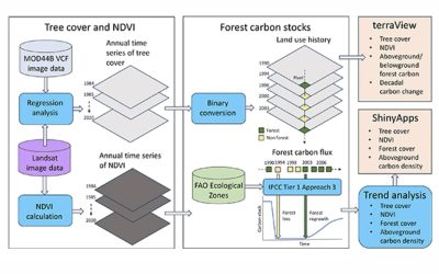 Toward the quantification of the climate co-benefits of invasive mammal eradication on islands: a scalable framework for restoration monitoring
