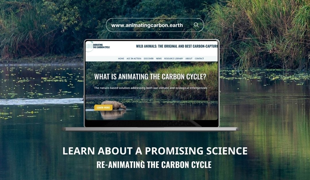 ACC Website. Credit: Global Rewilding Alliance.