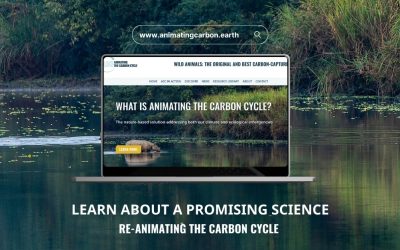 Animating the carbon cycle: the nature-based solution addressing both our climate and ecological emergencies