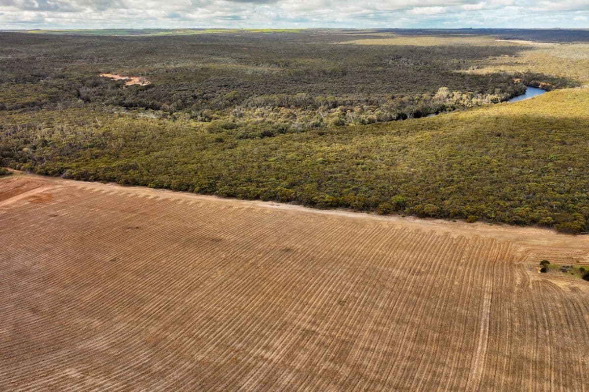 Aerial of revegetation site, WA, Gondwana. Copyrights_ Greenman Productions