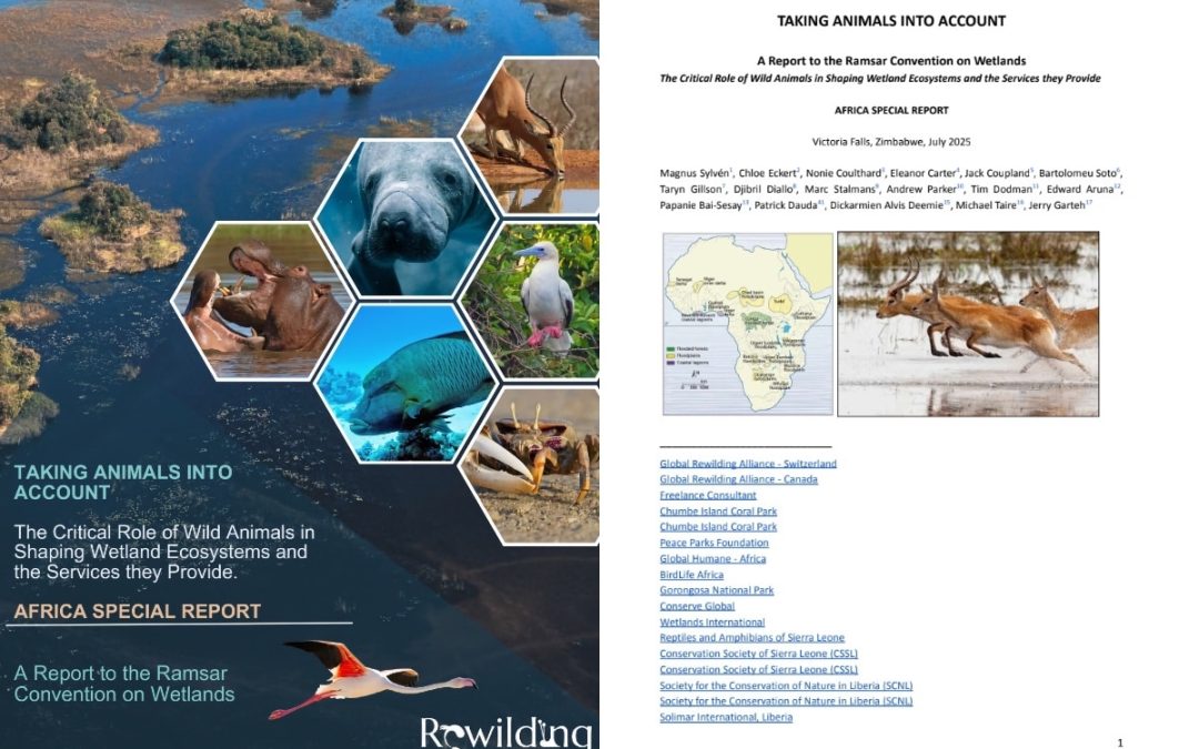 Taking Animals Into Account: Africa Special Report to the Ramsar Convention on Wetlands