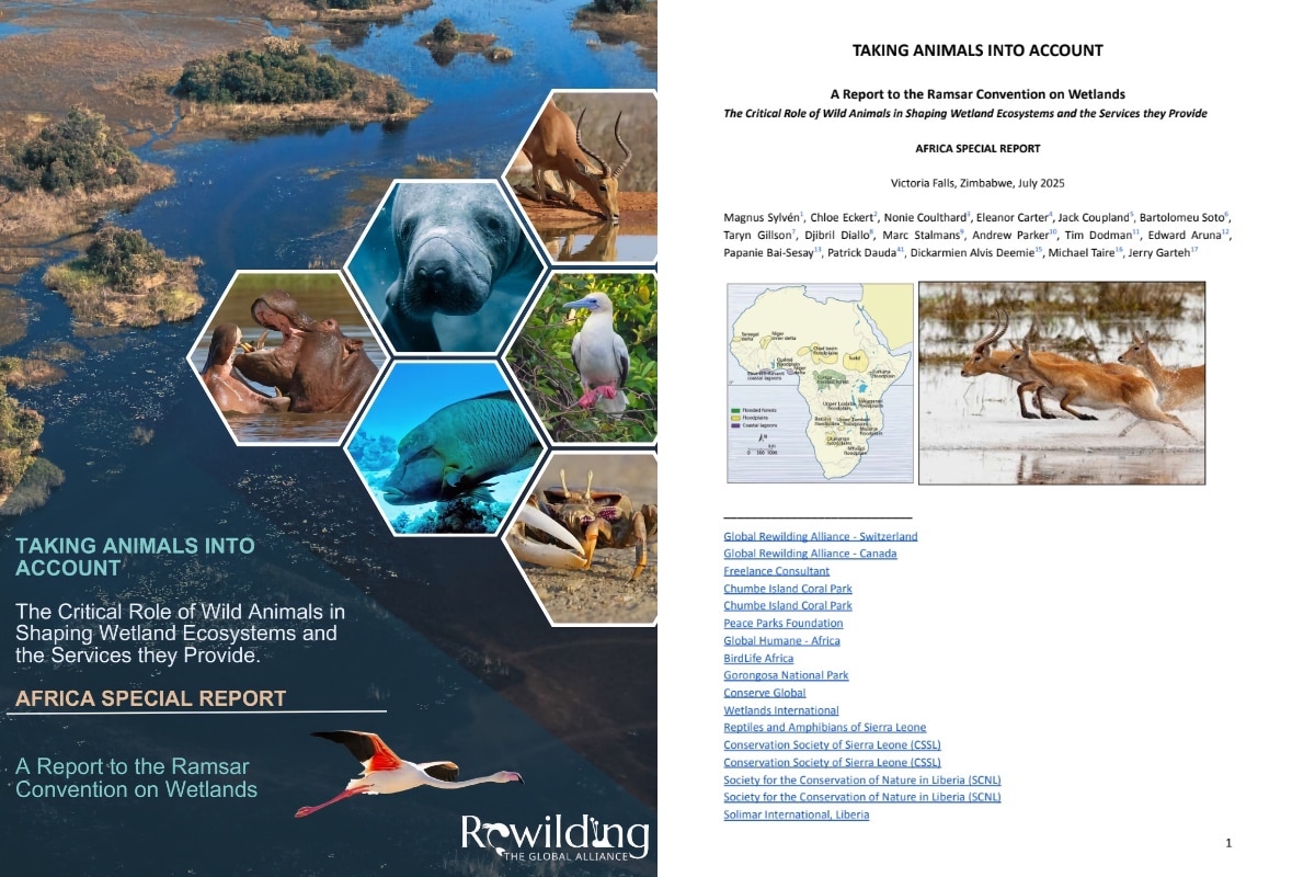 Taking Animals Into Account: Africa Special Report to the Ramsar Convention on Wetlands