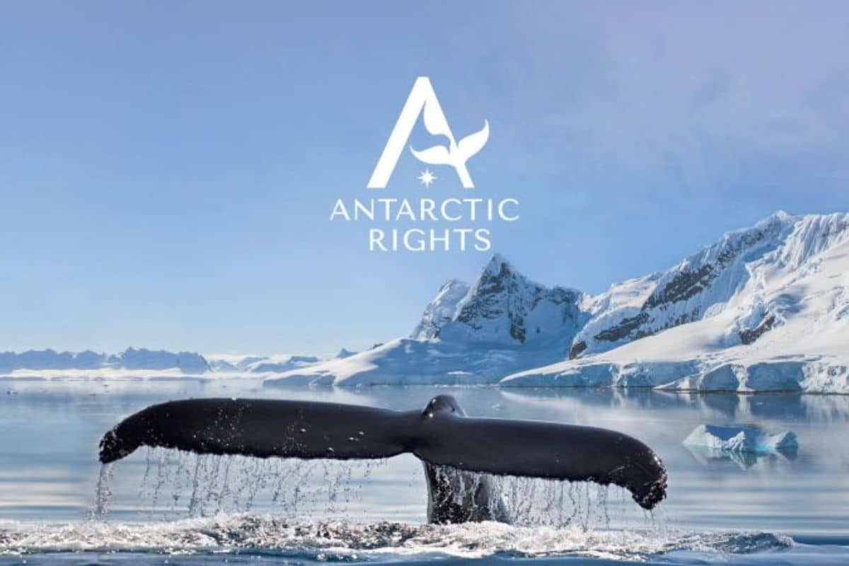 Logo with background image of a Whale Tail. Credit: Antarctic Rights<br />
