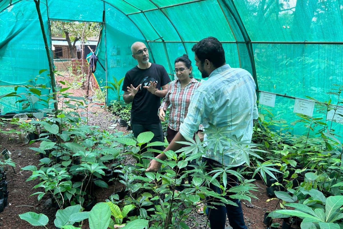 At Nursery of Sahyadri Sanklap Society Devrukh. Credit: NatureFuture