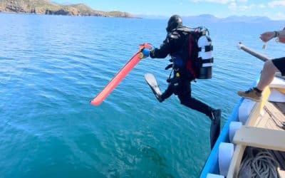Blue Hope Alliance: Rewilding Northwest Highland Coastlines