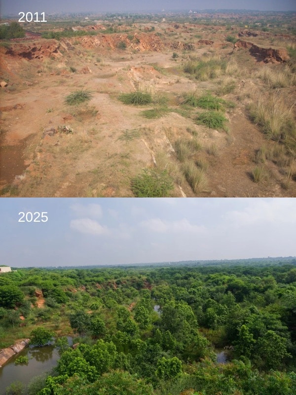 Mined Valley in the Aravallis photographed in 2011 & 2025 respectively. Credit Atal Kapoor, Vijay Dhasmana The Rewilders