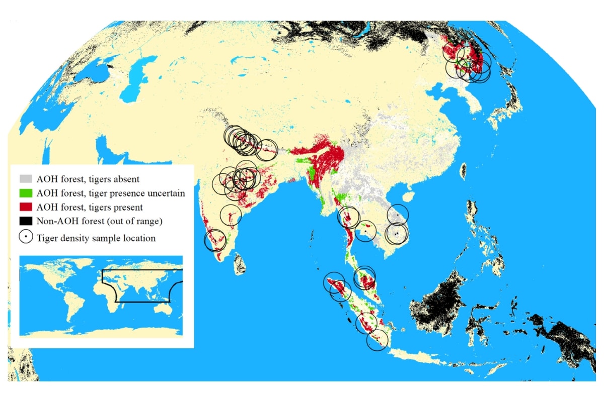 Tiger reintroductions credit Roberts et al., 2025