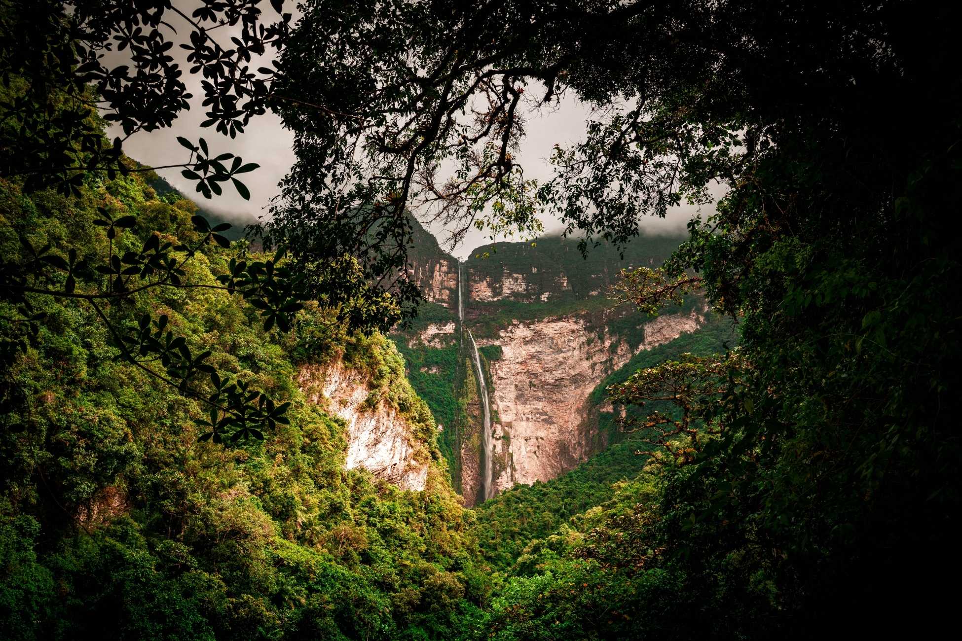 waterfall viewed through the forest canopy