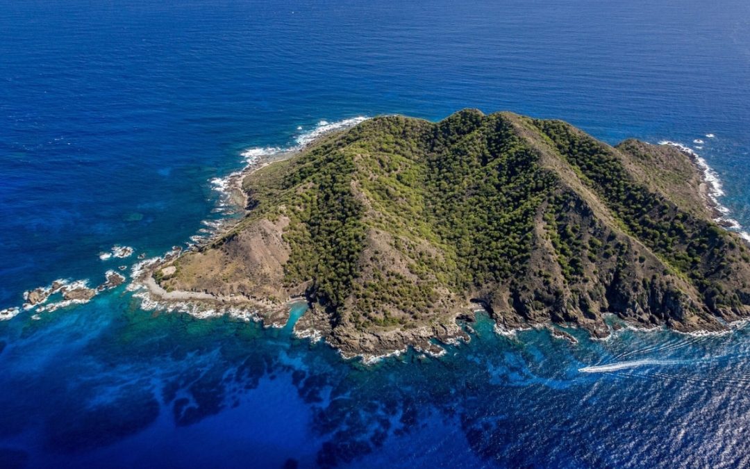 Desecheo Island, Puerto Rico. Credit: Island Conservation